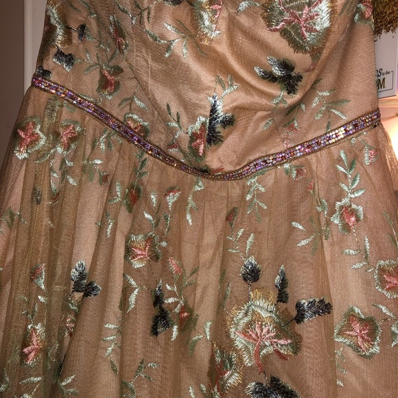 NWT TLC Say yes to the Prom Nude Embroidered Dress - Picture 6 of 9